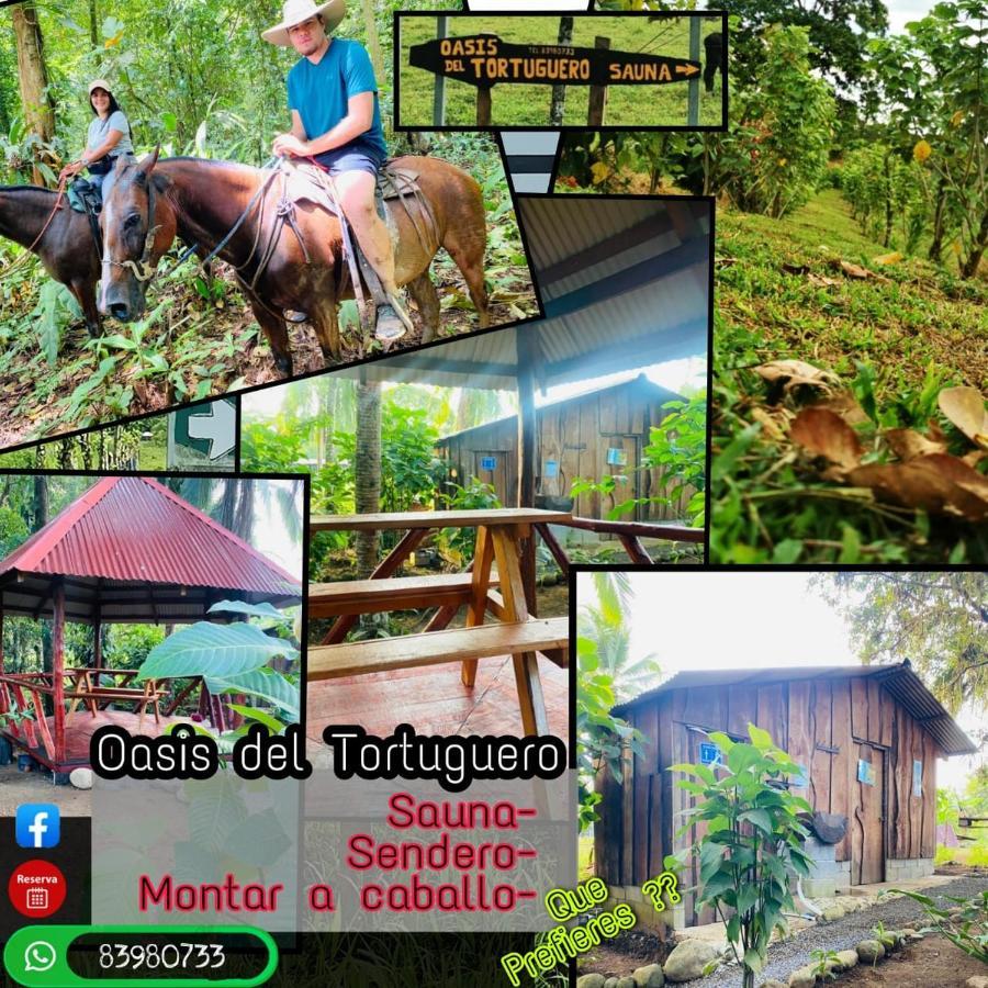 Oasis Del Tortuguero