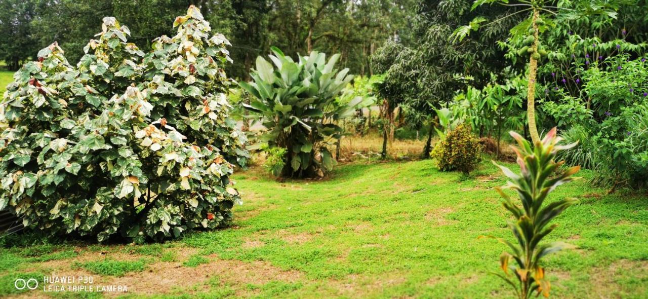 Oasis Del Tortuguero Chalet Cariari (Limon)