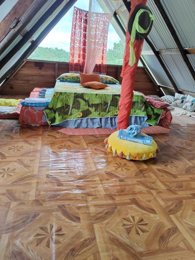 Chalet Oasis Del Tortuguero Cariari (Limon)