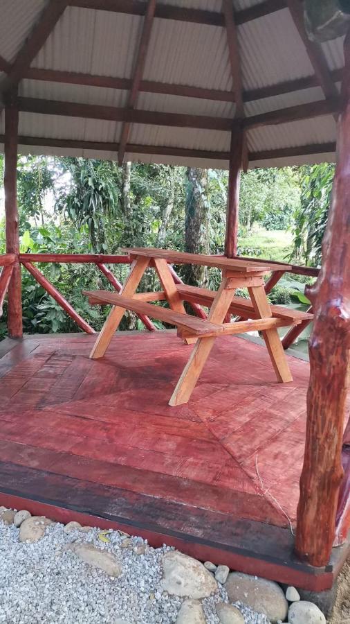 Chalet Oasis Del Tortuguero Cariari (Limon)