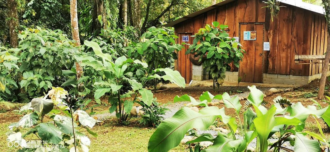 Oasis Del Tortuguero Chalet Cariari (Limon)
