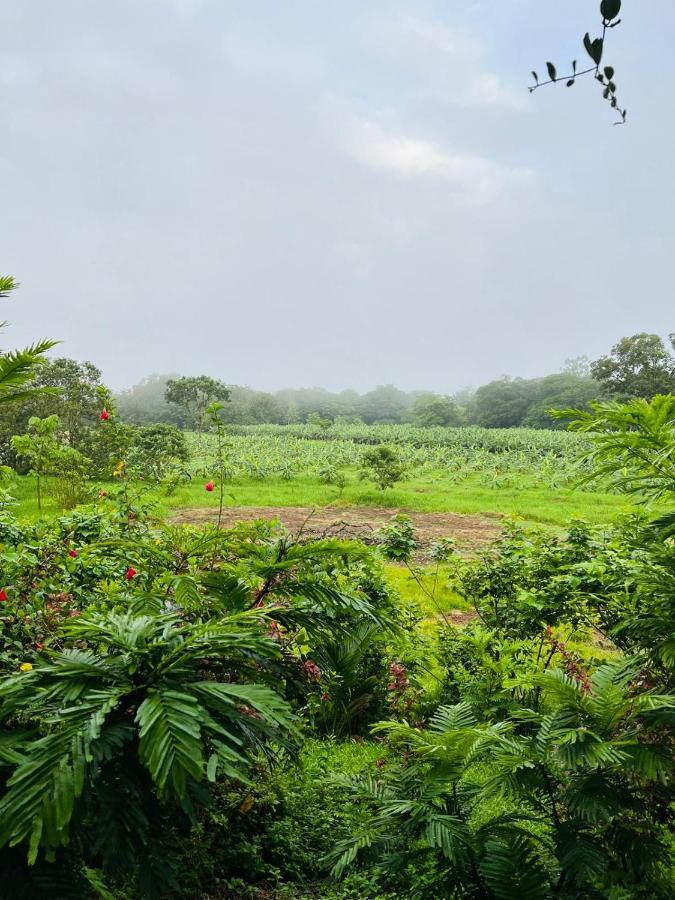 Oasis Del Tortuguero Chalet Cariari (Limon)